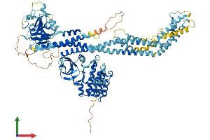 AlphaFold protein structure predicition of Human Recombinant DSTYK Protein, UniprotID Q6XUX3 (DSTYK Protein (AA 1-929) (His tag))