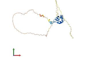 AlphaFold protein structure predicition of Human Recombinant SRSF12 Protein, UniprotID Q8WXF0 (SRSF12 Protein (AA 1-261) (His tag))