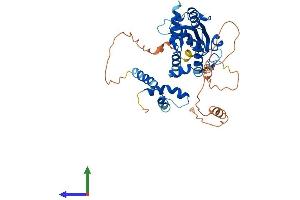 AlphaFold protein structure predicition of Human Recombinant MAEL Protein, UniprotID Q96JY0 (MAEL Protein (AA 1-434) (His tag))