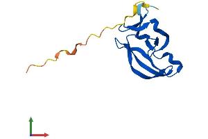 Protein Structure (PS) image for Yippee-Like 4 (YPEL4) (AA 1-127) protein (His tag) (ABIN7545513)