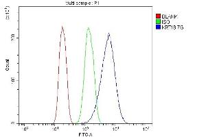 Flow Cytometry analysis of A431 cells using anti- Cytokeratin 18 antibody (ABIN7600573). (Cytokeratin 18 antibody  (AA 204-430))