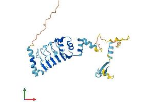AlphaFold protein structure predicition of Human Recombinant LRRC72 Protein, UniprotID A6NJI9 (LRRC72 Protein (AA 1-287) (His tag))