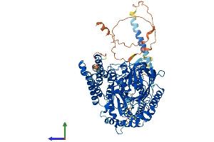 Protein Structure (PS) image for Transferrin Receptor 2 (TFR2) (AA 1-801) protein (His tag) (ABIN7555766)