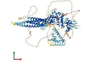AlphaFold protein structure predicition of Mouse Recombinant Stat2 Protein, UniprotID Q9WVL2 (STAT2 Protein (AA 1-923) (His tag))