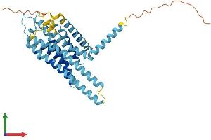 AlphaFold protein structure predicition of Human Recombinant GPBAR1 Protein, UniprotID Q8TDU6 (GPBAR1 Protein (AA 1-330) (His tag))
