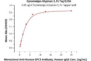 Immobilized Cynomolgus Glypican 3, Fc Tag (ABIN4949055,ABIN4949056) at 0. (Glypican 3 Protein (GPC3) (AA 25-559) (Fc Tag))