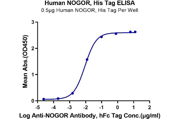 Reticulon 4 Protein (RTN4) (AA 27-447) (His tag)