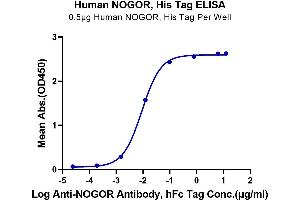 Immobilized Human NOGOR, His Tag at 5 μg/mL (100 μL/Well) on the plate.