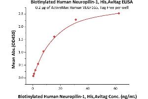 ELISA image for Neuropilin 1 (NRP1) (AA 22-644) (Active) protein (His tag,AVI tag,Biotin) (ABIN5674605)
