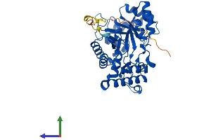 AlphaFold protein structure predicition of Human Recombinant AKR7A2 Protein, UniprotID O43488