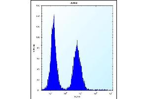 ABI2 Antibody (N-term) (ABIN656497 and ABIN2845772) flow cytometric analysis of Jurkat cells (right histogram) compared to a negative control cell (left histogram).
