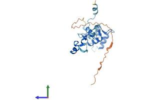 Protein Structure (PS) image for Tubulin Polymerization Promoting Protein (Tppp) (AA 1-218) protein (His tag) (ABIN7558271)