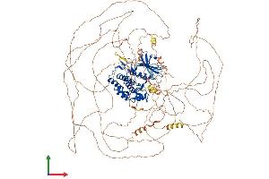 AlphaFold protein structure predicition of Human Recombinant TTBK2 Protein, UniprotID Q6IQ55