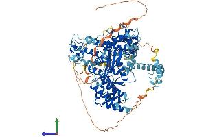AlphaFold protein structure predicition of Human Recombinant KAT2B Protein, UniprotID Q92831 (KAT2B Protein (AA 1-832) (His tag))