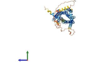 AlphaFold protein structure predicition of Human Recombinant ADRA2C Protein, UniprotID P18825