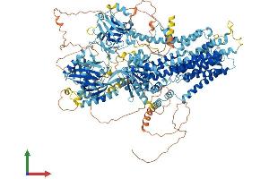 AlphaFold protein structure predicition of Mouse Recombinant Atp10d Protein, UniprotID Q8K2X1 (ATP10D Protein (AA 1-1416) (His tag))