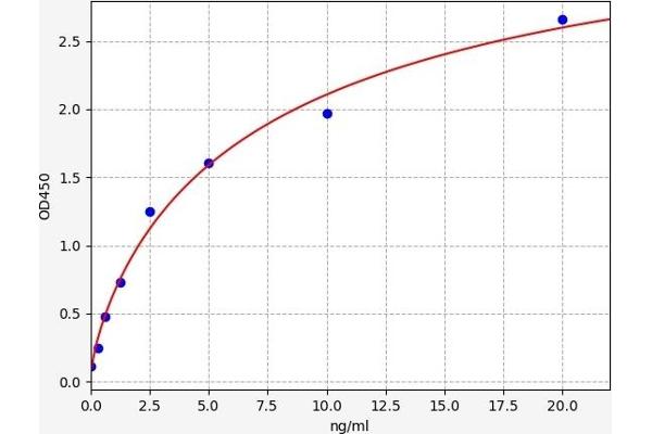 JNK ELISA Kit