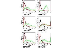 Specificity testing of 9A6. (CEACAM6 antibody)