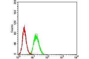 Flow cytometric analysis of Hela cells using C3C mouse mAb (green) and negative control (red). (Complement C3c antibody  (AA 1521-1649))