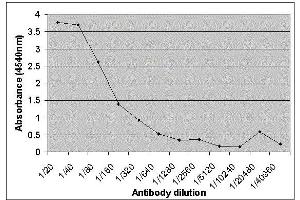 ELISA image for anti-Lactalbumin, alpha- (LALBA) antibody (ABIN2477393)