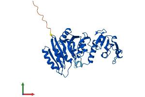 AlphaFold protein structure predicition of Mouse Recombinant B3gntl1 Protein, UniprotID Q3U129