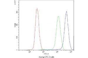 Flow cytometry testing of human PC-3 cells with SYT1 antibody at 1ug/10^6 cells (blocked with goat sera) (SYT1 antibody)