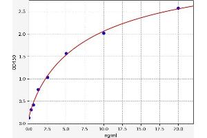 Typical standard curve (ENO1 ELISA Kit)