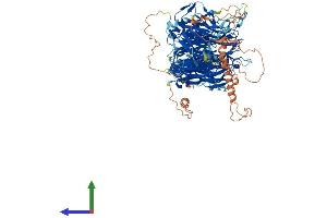 AlphaFold protein structure predicition of Mouse Recombinant Stxbp5 Protein, UniprotID Q8K400 (STXBP5 Protein (AA 1-1152) (His tag))