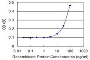 Detection limit for recombinant GST tagged MRPS22 is 3 ng/ml as a capture antibody. (MRPS22 antibody  (AA 1-360))