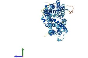 AlphaFold protein structure predicition of Mouse Recombinant Slc18b1 Protein, UniprotID D3Z5L6 (C6orf192 Protein (AA 1-459) (His tag))