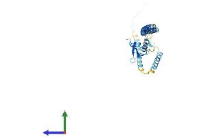 Protein Structure (PS) image for Centromere Protein K (CENPK) (AA 1-269) protein (His tag) (ABIN7553414)