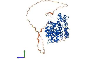 AlphaFold protein structure predicition of Human Recombinant ANXA7 Protein, UniprotID P20073