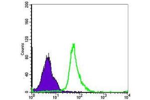 Flow cytometric analysis of MCF-7 cells using NFKB1 mouse mAb (green) and negative control (purple). (NFKB1 antibody)