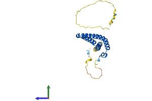 AlphaFold protein structure predicition of Mouse Recombinant Ocel1 Protein, UniprotID Q8VCR9