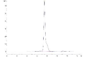 The purity of Mouse Adiponectin/Acrp30 is greater than 95 % as determined by SEC-HPLC. (ADIPOQ Protein (AA 18-247) (His tag))