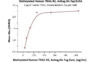 ELISA image for Tumor Necrosis Factor Receptor Superfamily, Member 10b (TNFRSF10B) (AA 56-182) (Active) protein (His tag,AVI tag,Biotin) (ABIN3137686)