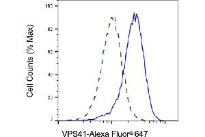 Validation of VPS41 knockdown using flow cytometry. (Recombinant VPS41 antibody)