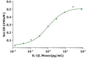 IL-1β, Mouse stimulates cell proliferation of D10S cells. (IL-1 beta Protein)