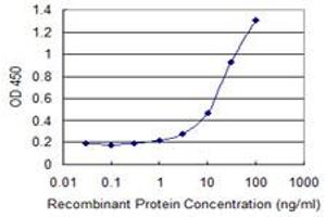 Detection limit for recombinant GST tagged GNG5 is 1 ng/ml as a capture antibody. (GNG5 antibody  (AA 1-68))