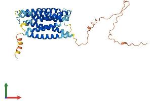 AlphaFold protein structure predicition of Mouse Recombinant Gprc5d Protein, UniprotID Q9JIL6