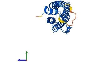 Protein Structure (PS) image for Ferritin Light Chain 2 (FTL2) (AA 1-183) protein (His tag) (ABIN7563351)