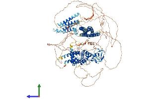 Protein Structure (PS) image for rho GTPase Activating Protein 29 (ARHGAP29) (AA 1-1266) protein (His tag) (ABIN7564571)
