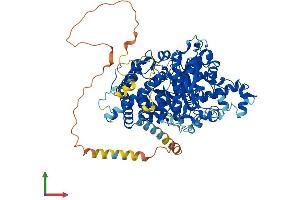 AlphaFold protein structure predicition of Mouse Recombinant Ampd3 Protein, UniprotID O08739 (AMPD3 Protein (AA 1-766) (His tag))