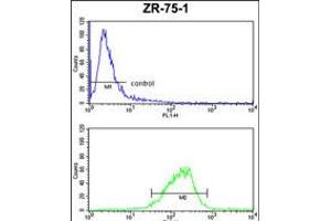 Flow cytometric analysis of ZR-75-1 cells (bottom histogram) compared to a negative control cell (top histogram).