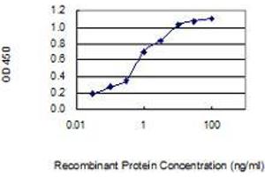 Detection limit for recombinant GST tagged ZNF428 is 0. (ZNF428 antibody  (AA 1-188))