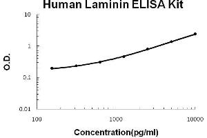 Human Laminin PicoKine ELISA Kit standard curve (Laminin ELISA Kit)