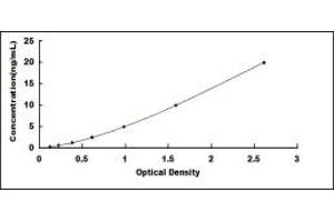 Typical standard curve (UBE2I ELISA Kit)