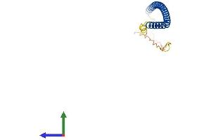 AlphaFold protein structure predicition of Mouse Recombinant Ccdc182 Protein, UniprotID Q9D9C6 (CCDC182 Protein (AA 1-152) (His tag))