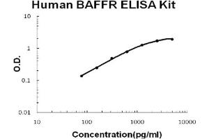 Human TNFRSF13C/BAFFR Accusignal ELISA Kit Human TNFRSF13C/BAFFR AccuSignal ELISA Kit standard curve.
