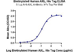 Immobilized Anti-AXL Antibody, hFc Tag at 1 μg/mL (100 μL/Well) on the plate.
